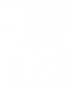 www.wolvesinteractive.com